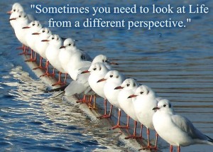 Sometimes you need a change of perspective (image by www.billystevens.tv)