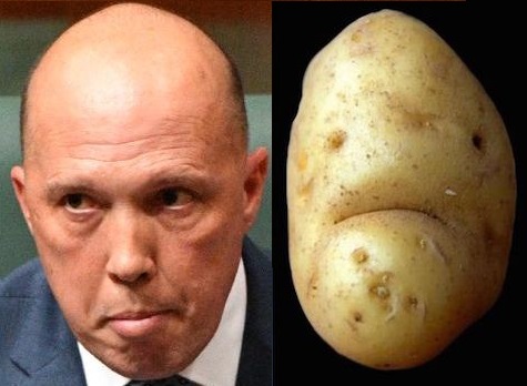 Peter Dutton is a Potato” - an analysis - » The Australian Independent  Media Network