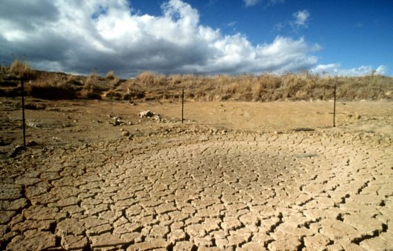 Drought-wrecked Australian paddock.